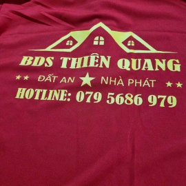 Áo polo mẫu số 19