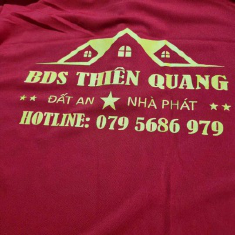 Áo polo mẫu số 19