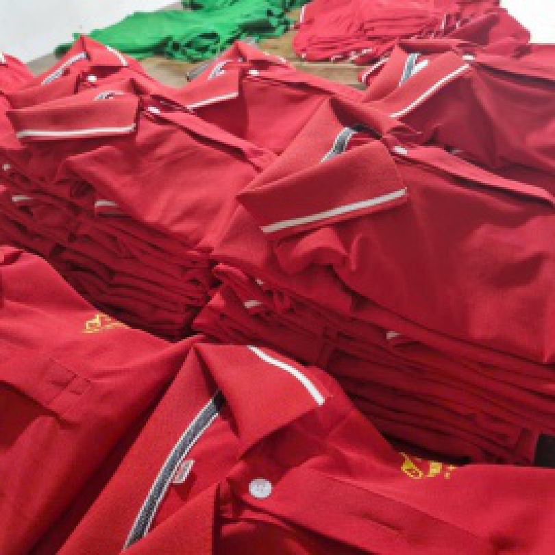 Áo polo mẫu số 17